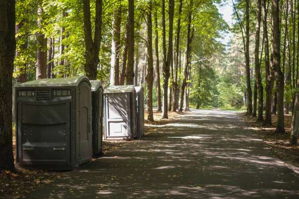 Best Affordable portable toilet rental  in Hampshire, IL